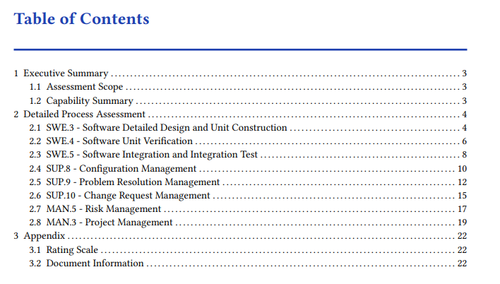 Report table of contents, listing executive summary and per-process detailed assessment sections
